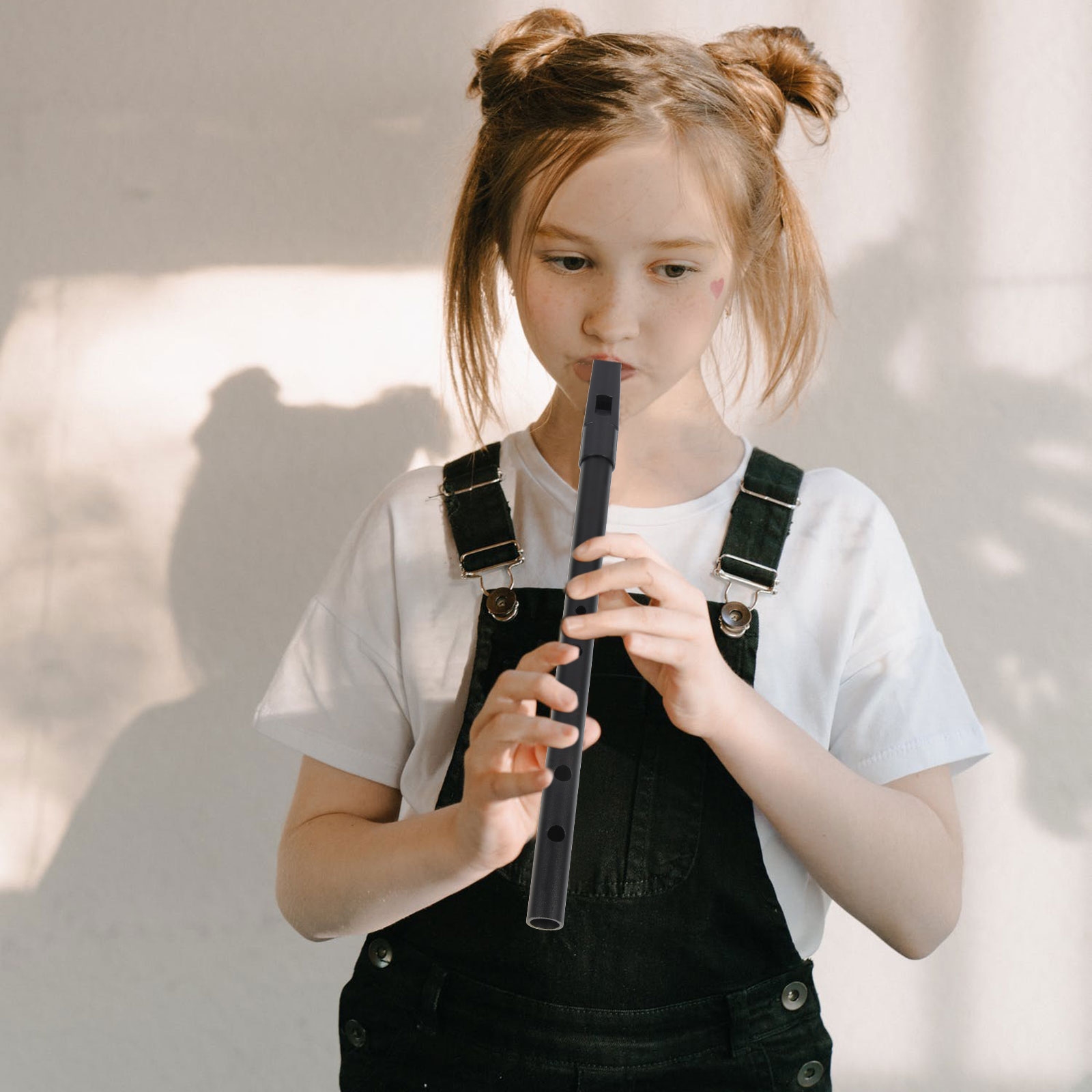 Ireland Clarinet Resin Recorde – обзор и цена Musical Instrument Recorder