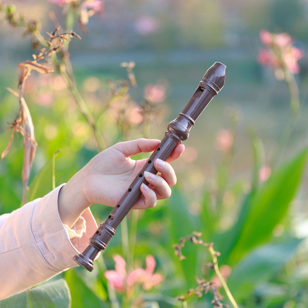 Professional 8 Hole Soprano Re – обзор и цена Musical Instrument Recorder