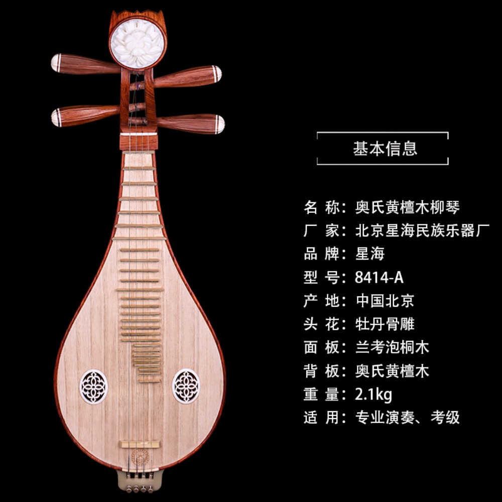 Beijing Xinghai 8414-A Rosewoo – обзор и цена Musical Instrument ____