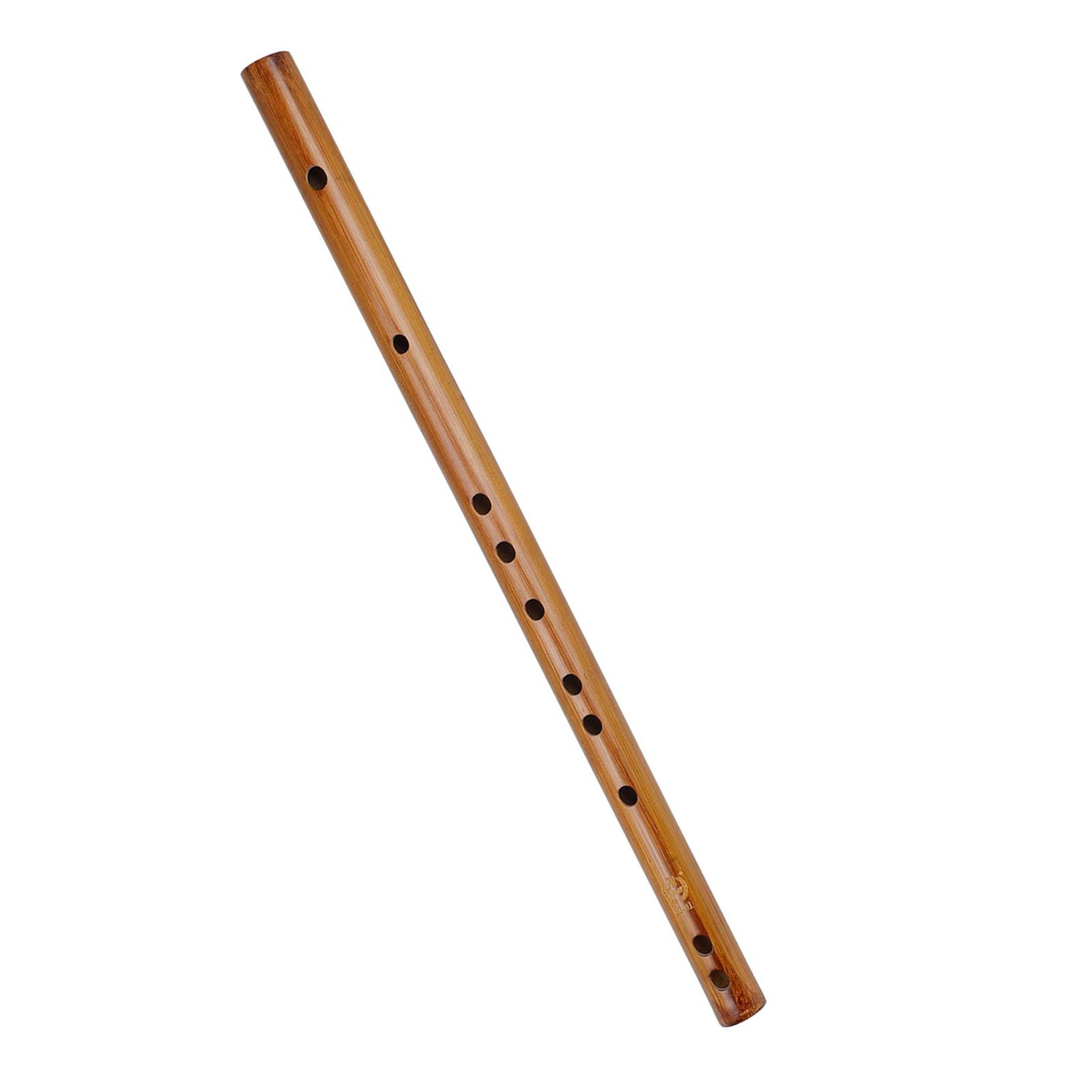 Unique Birthday Gift ,Indian W – обзор и цена Recorder Baroque Style