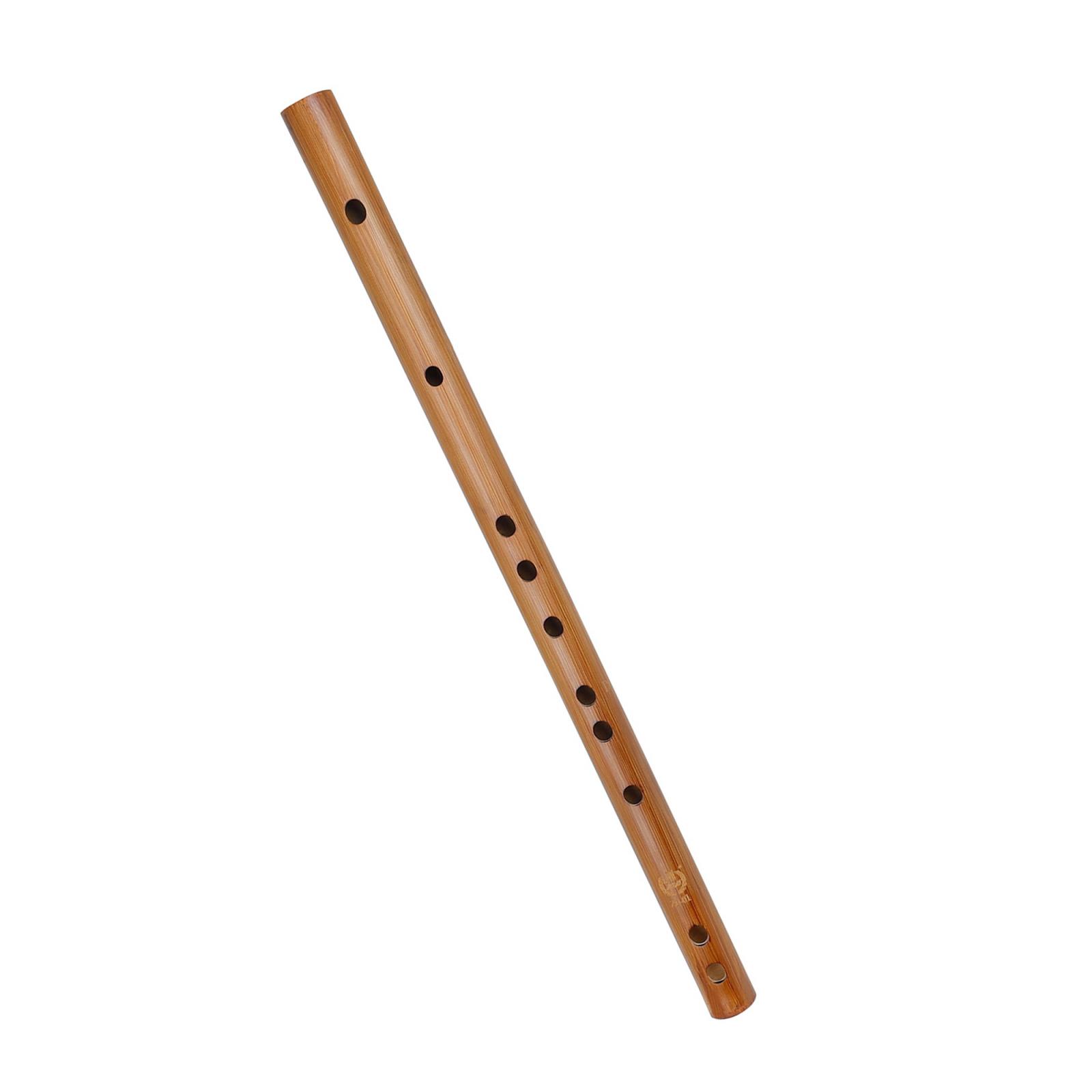 Unique Birthday Gift ,Indian W – обзор и цена Recorder Baroque Style