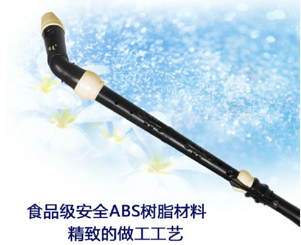 Professional 8 Holes Baroque B – обзор и цена Recorder Baroque Style