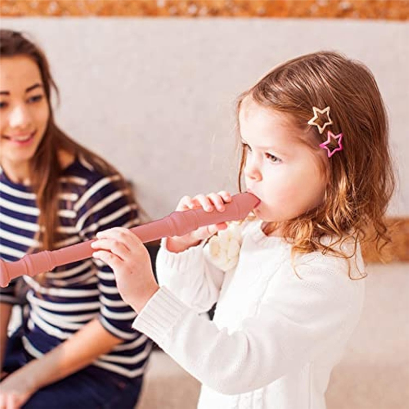 CGDS-ABS Recorder Treble 8-Hol – обзор и цена Musical Instrument Recorder