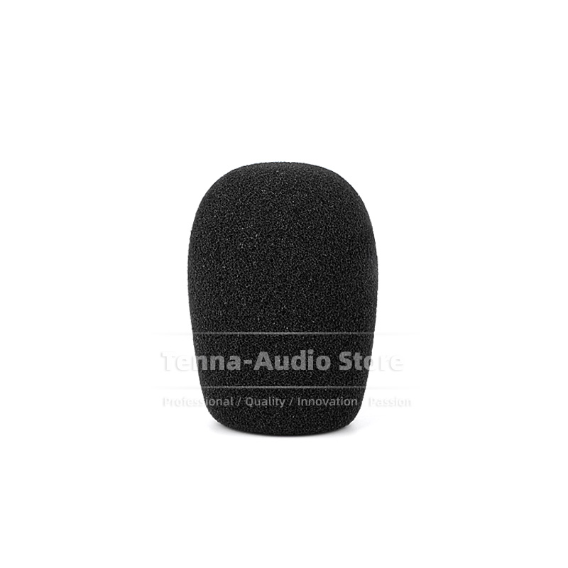 Microphone Windscreen Mike Win – обзор и цена Musical Instrument Recorder