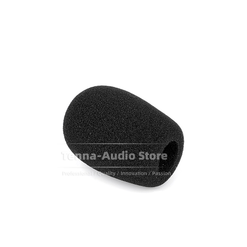 Microphone Windscreen Mike Win – обзор и цена Musical Instrument Recorder